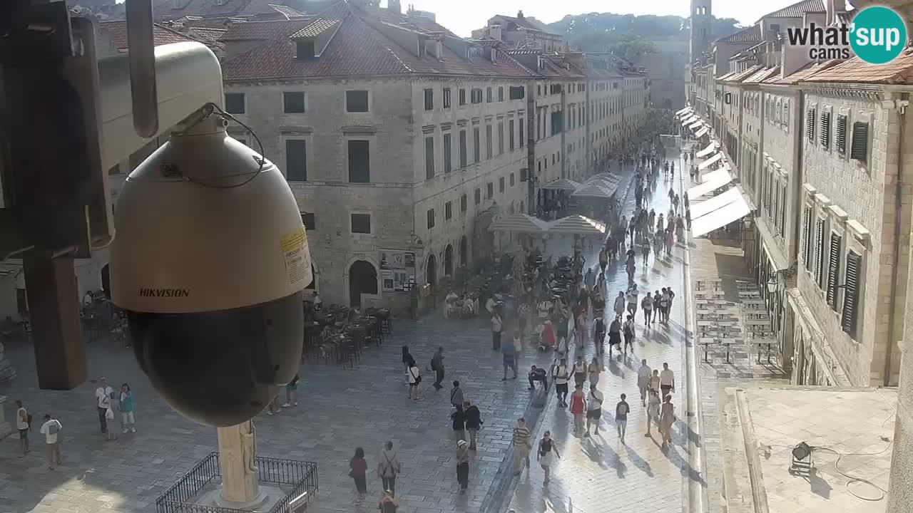 Camera en vivo Dubrovnik Stradun