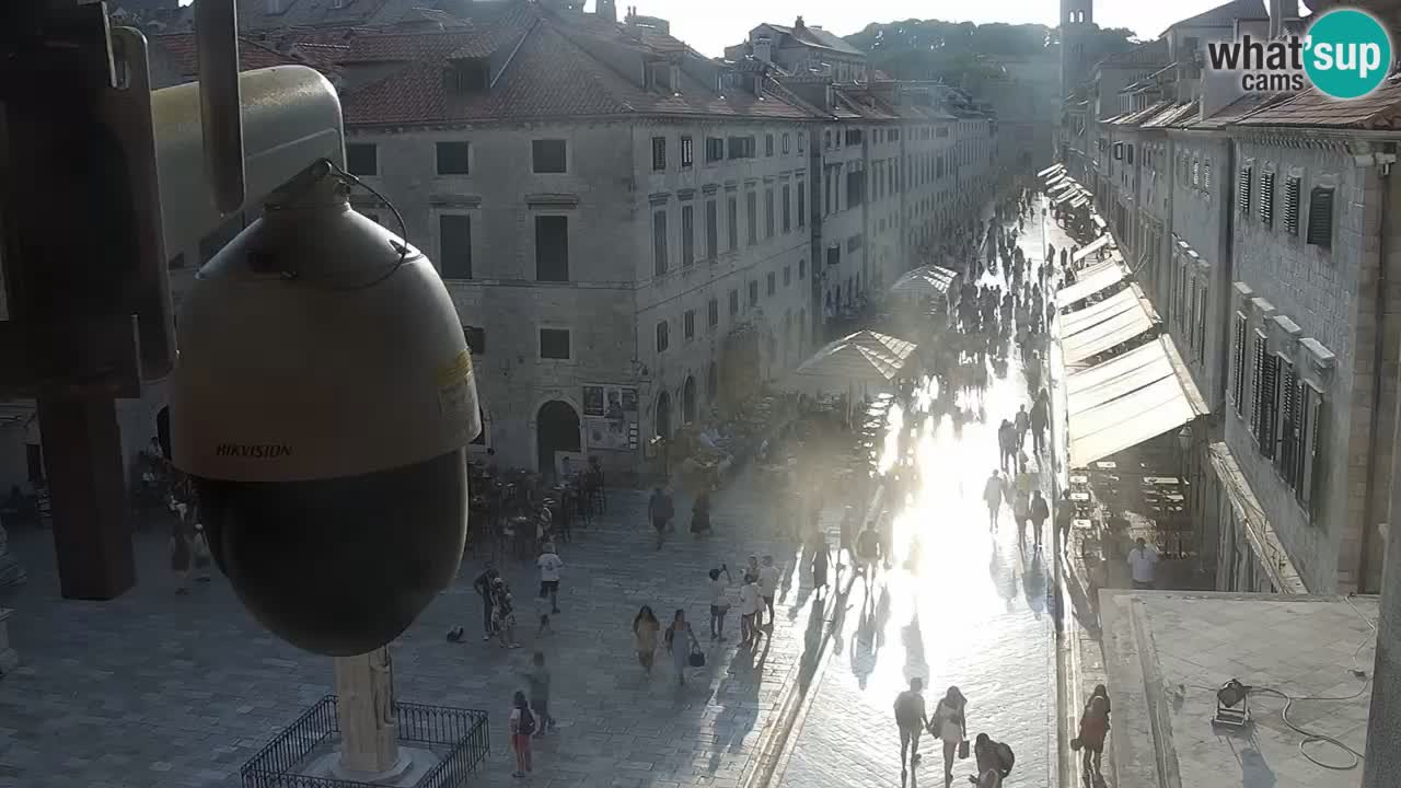 Live Webcam Dubrovnik Stradun