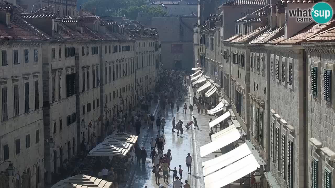 Livecam Dubrovnik Stradun