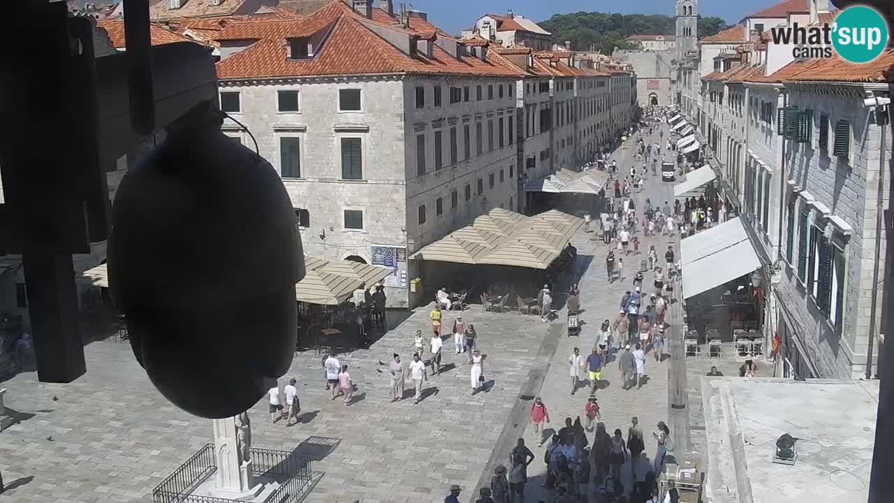 Live Webcam Dubrovnik Stradun