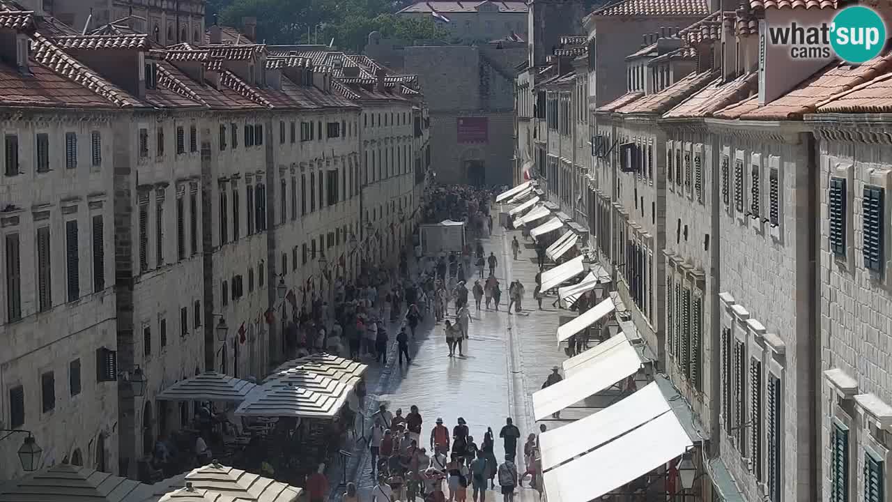 Livecam Dubrovnik Stradun