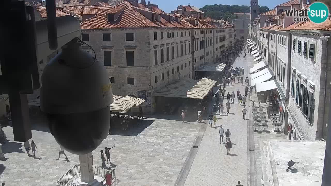 Live Webcam Dubrovnik Stradun