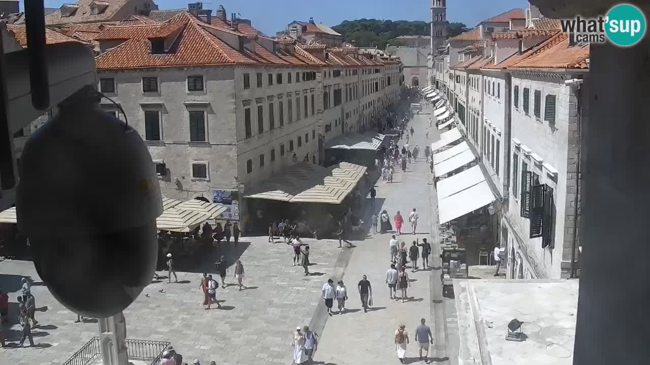 Livecam Dubrovnik Stradun