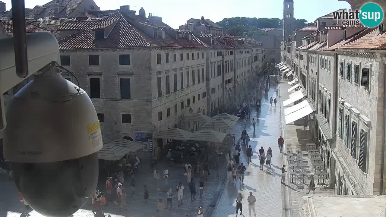 Camera en vivo Dubrovnik Stradun