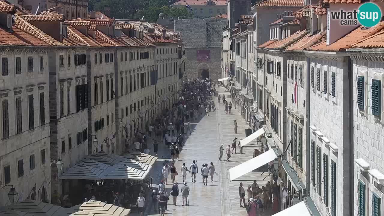Camera en vivo Dubrovnik Stradun