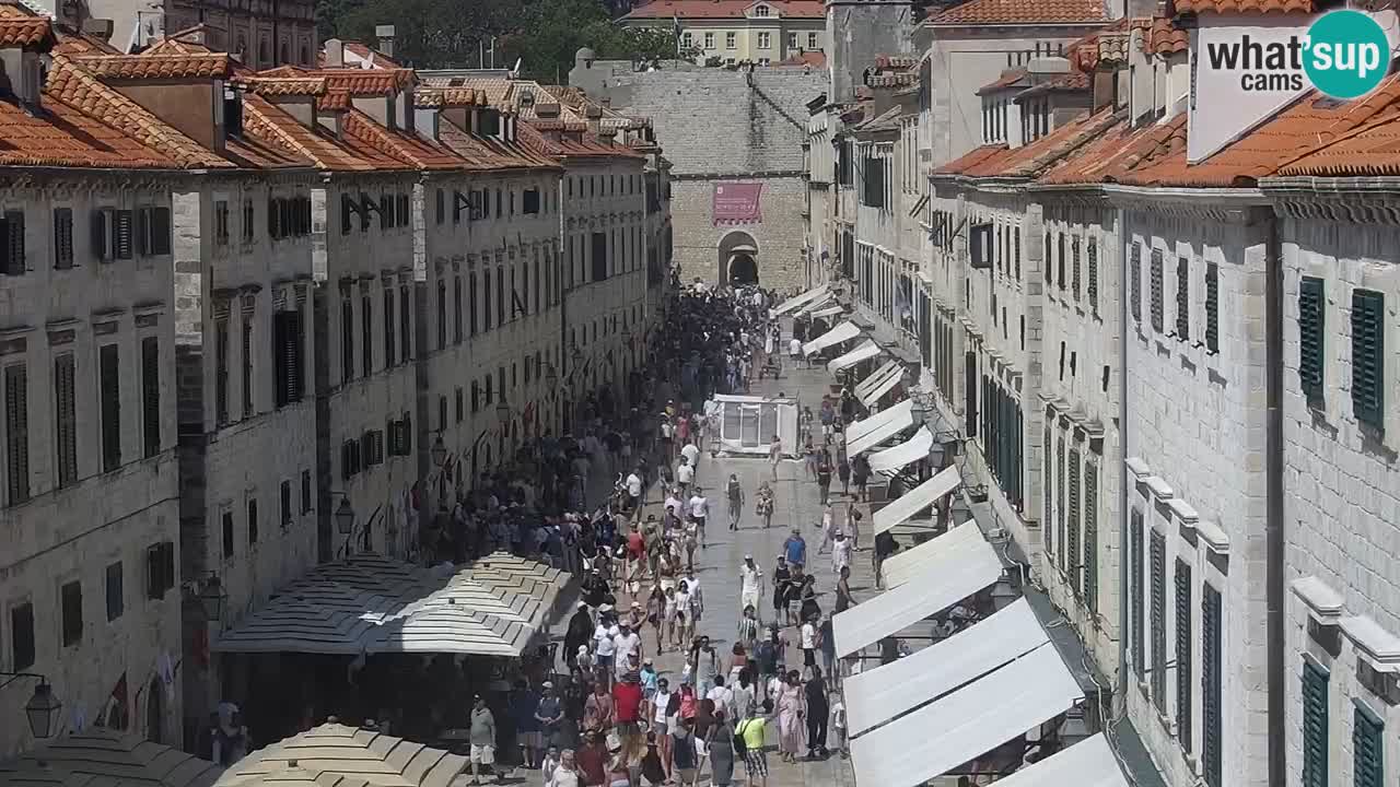 Webcam Ragusa (Dubrovnik) Stradun