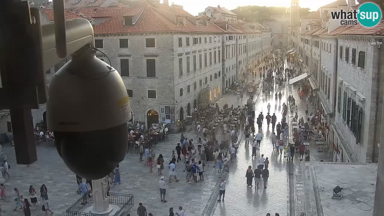 Livecam Dubrovnik Stradun