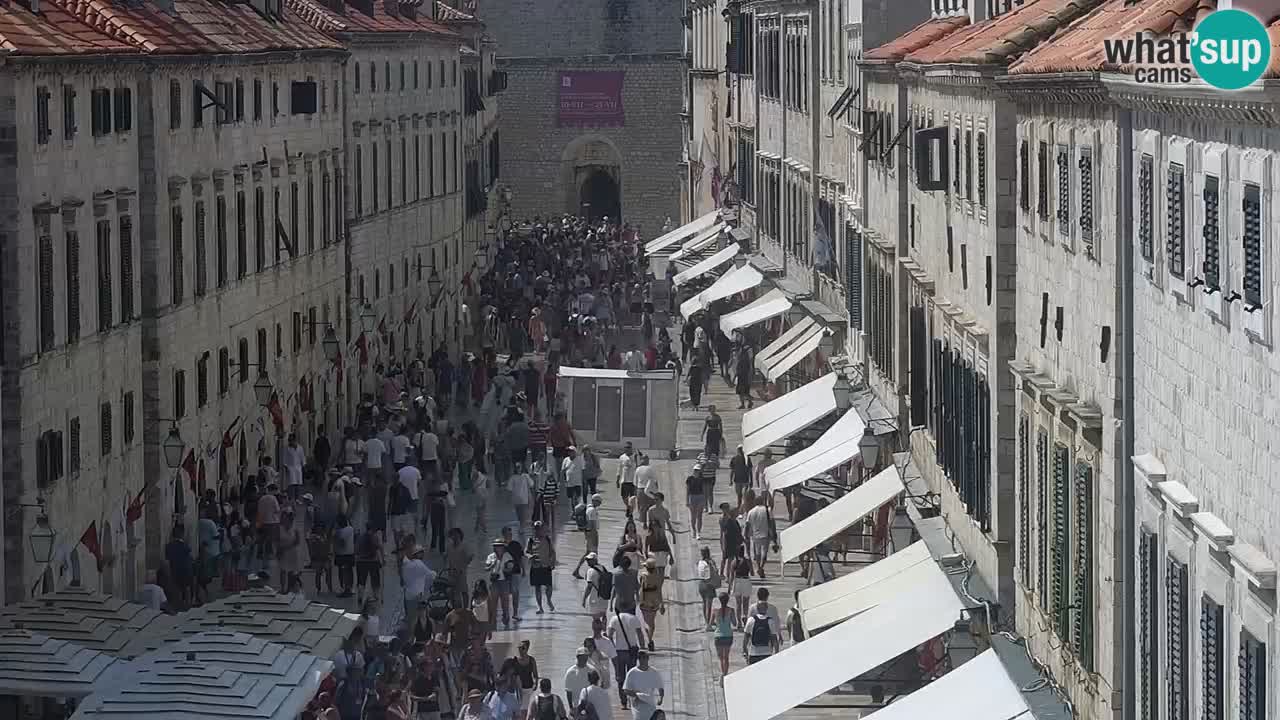 Livecam Dubrovnik Stradun