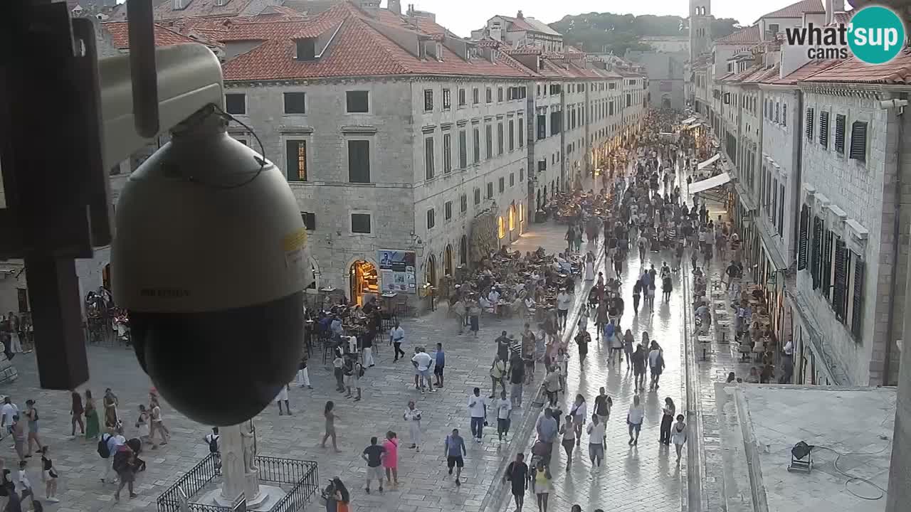 Livecam Dubrovnik Stradun