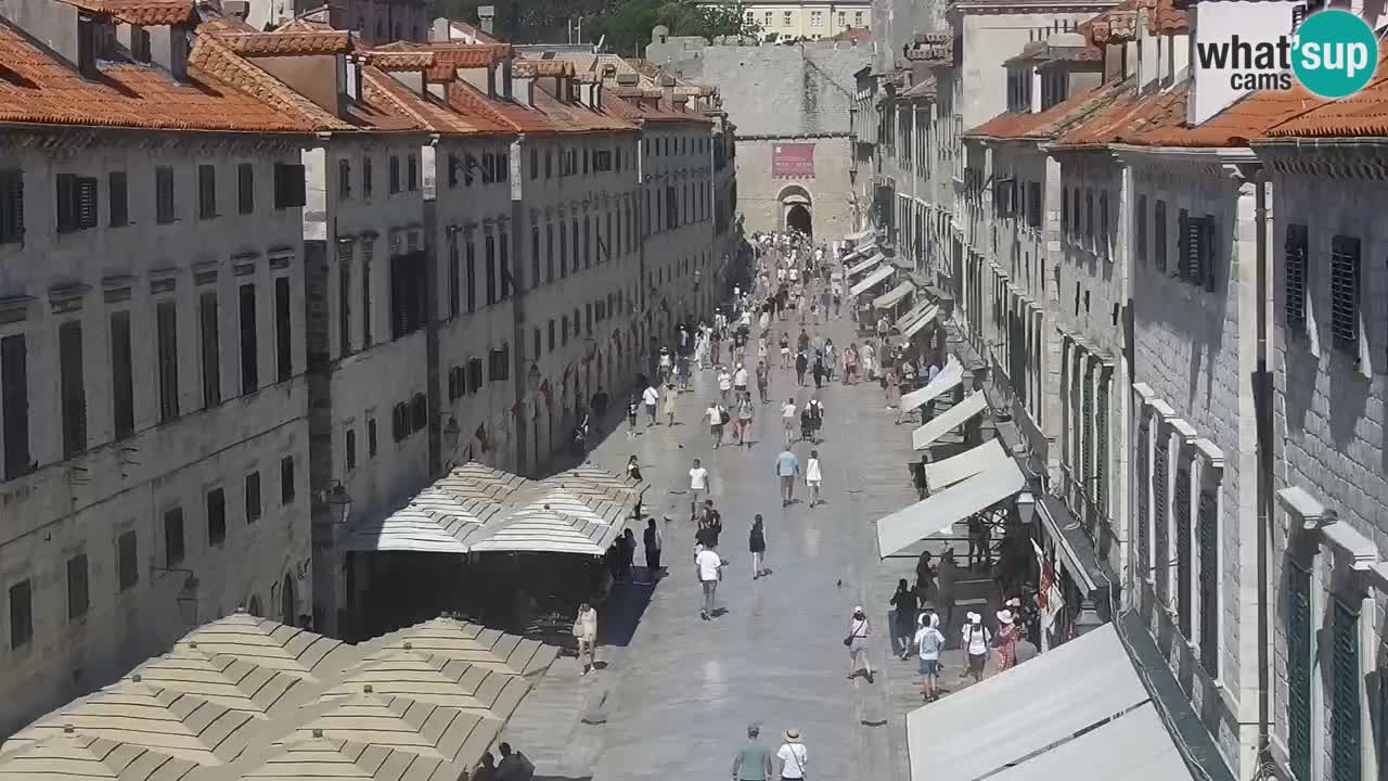 Livecam Dubrovnik Stradun