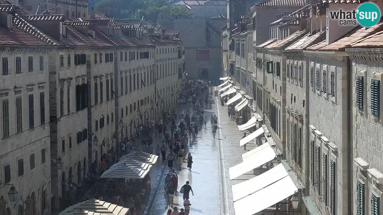 Livecam Dubrovnik Stradun