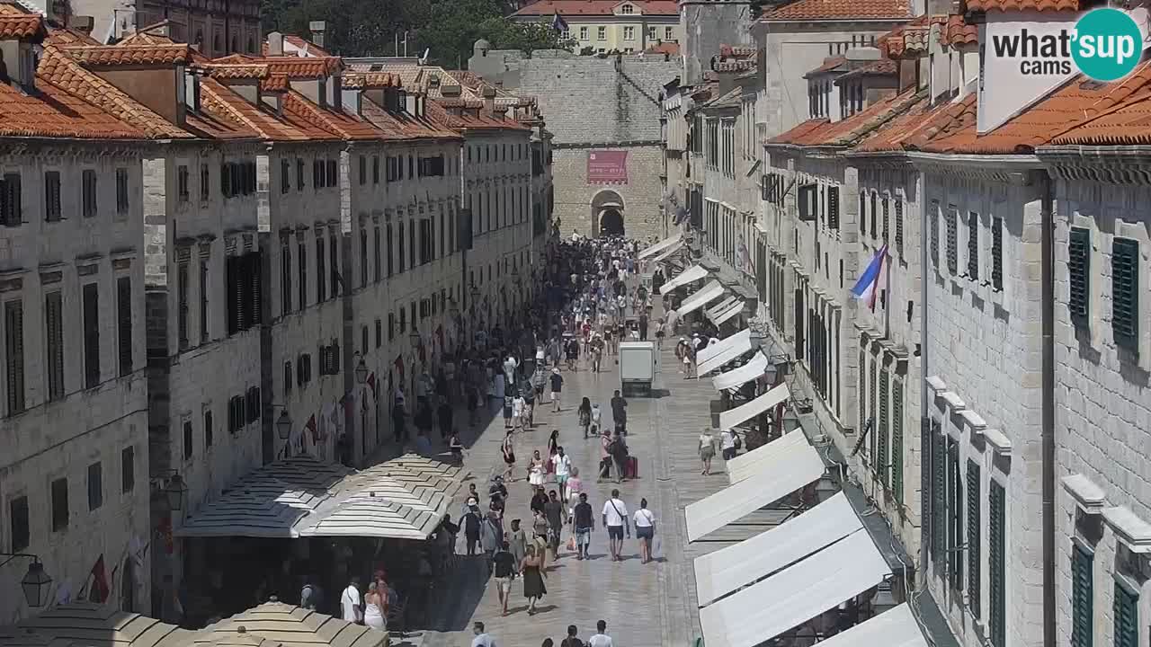 Camera en vivo Dubrovnik Stradun