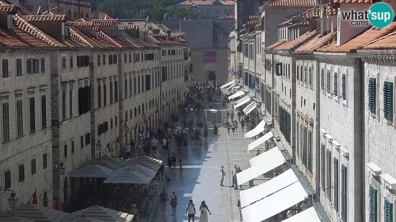 Livecam Dubrovnik Stradun