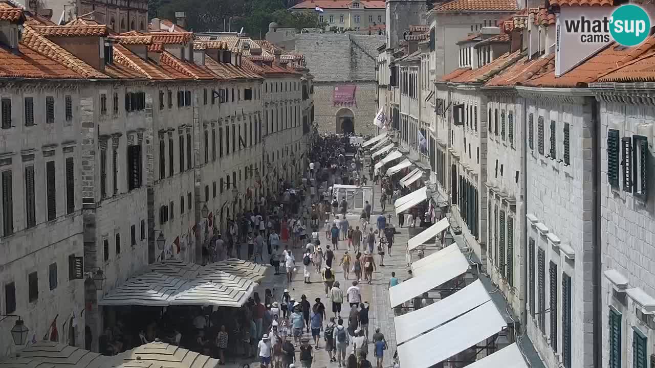 Livecam Dubrovnik Stradun