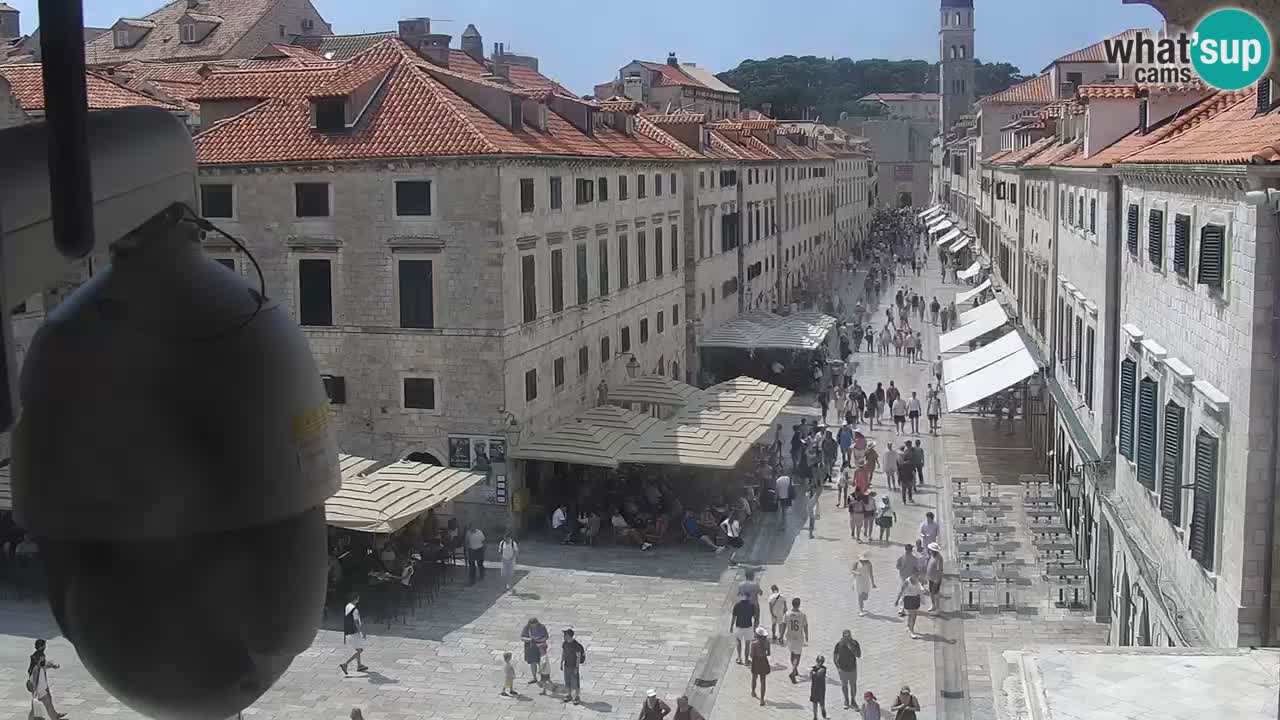 Webcam Ragusa (Dubrovnik) Stradun