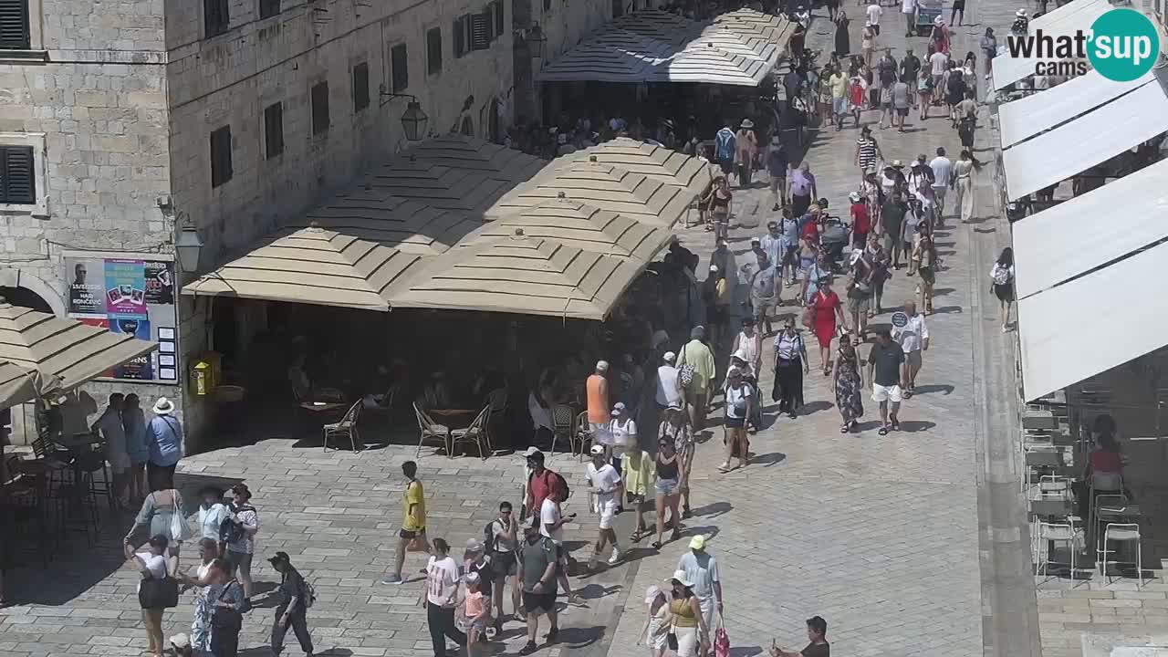 Live Webcam Dubrovnik Stradun