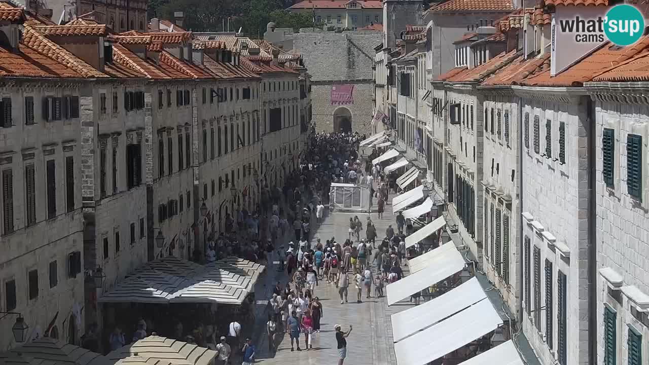 Live Webcam Dubrovnik Stradun