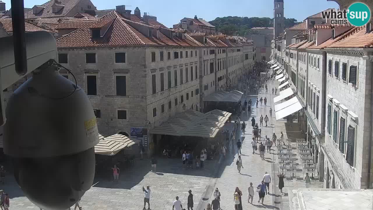 Webcam Ragusa (Dubrovnik) Stradun