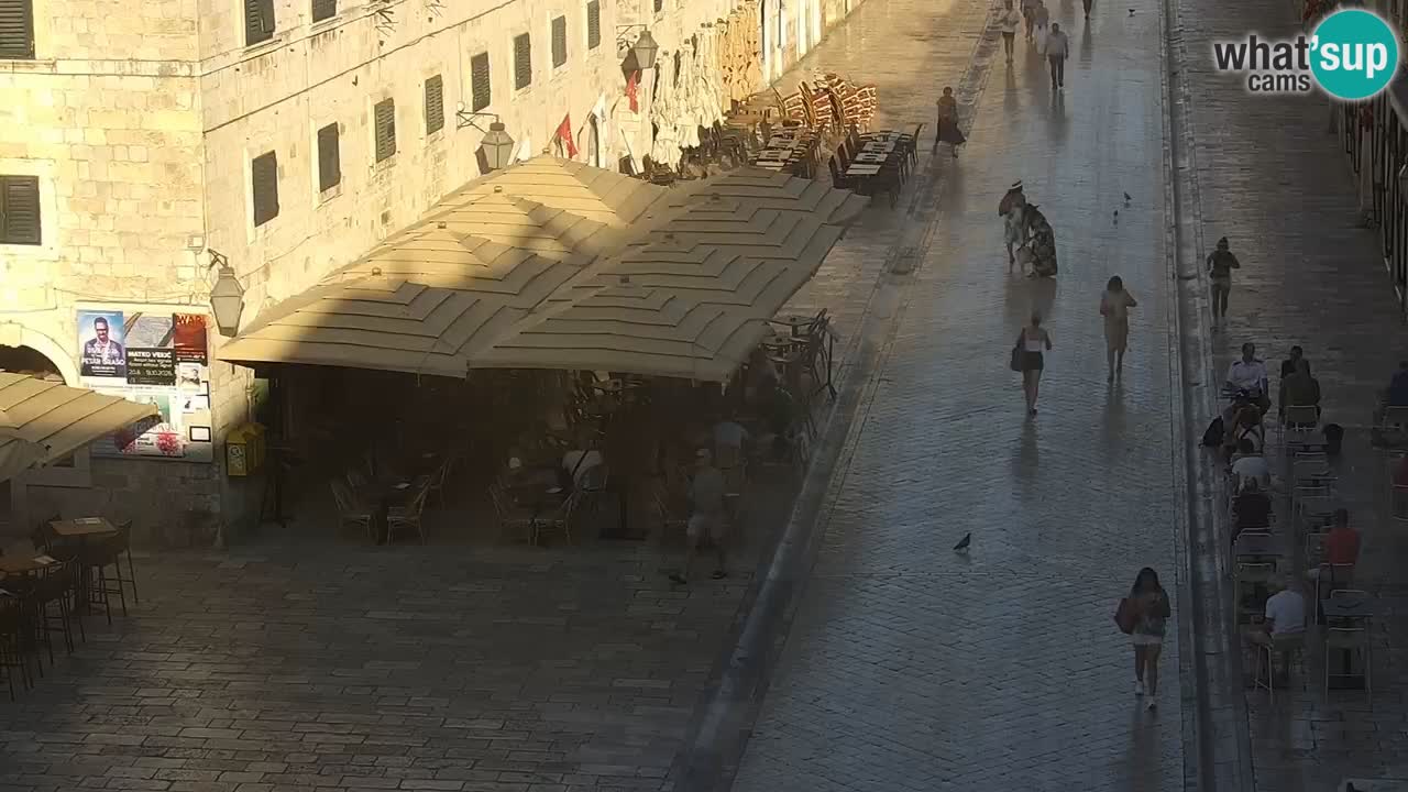 Livecam Dubrovnik Stradun