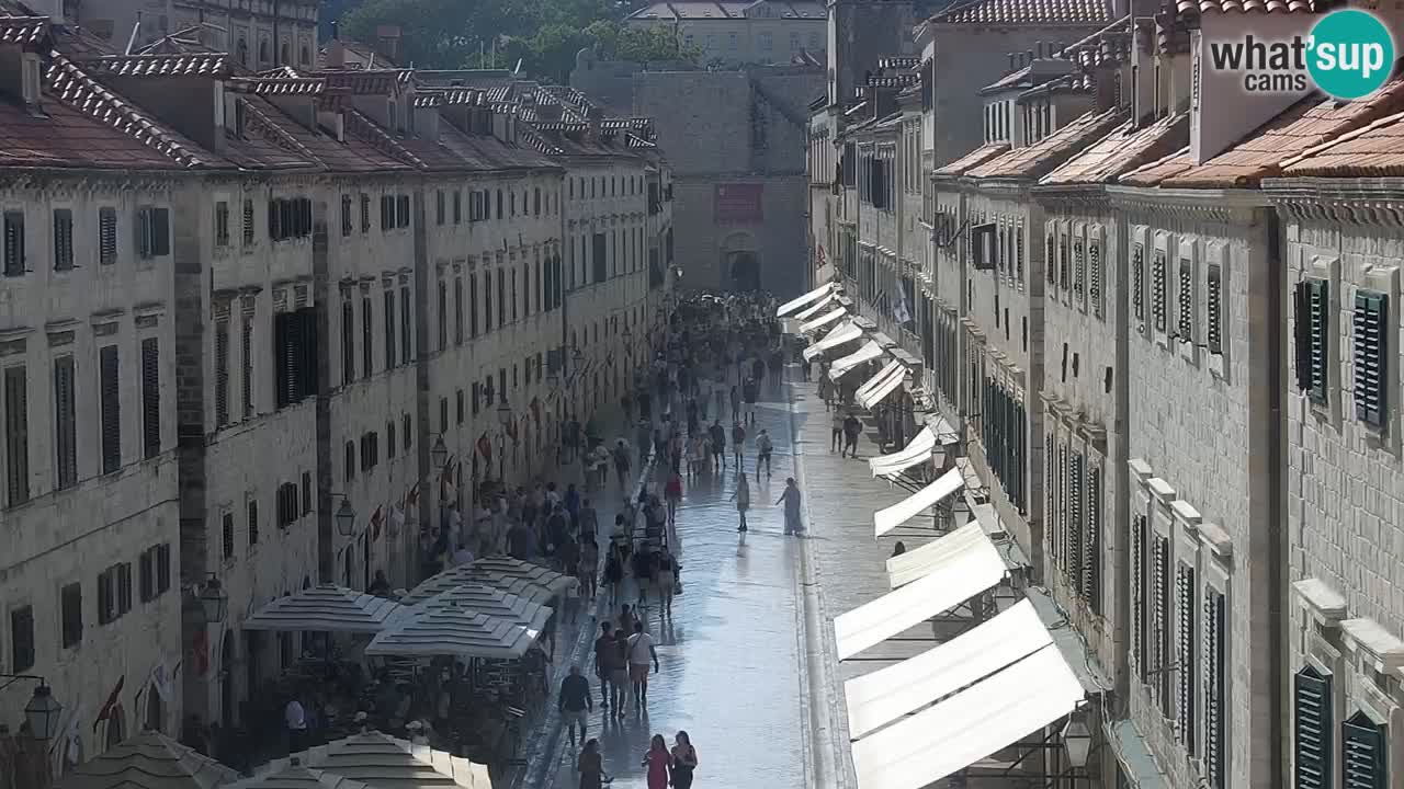 Live Webcam Dubrovnik Stradun