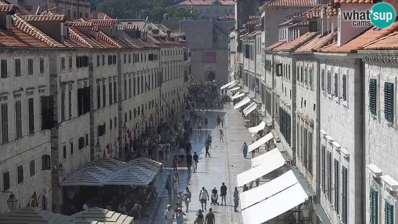 Livecam Dubrovnik Stradun