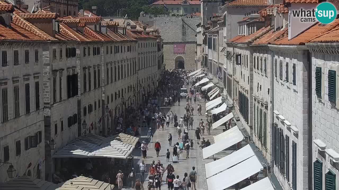 Live Webcam Dubrovnik Stradun
