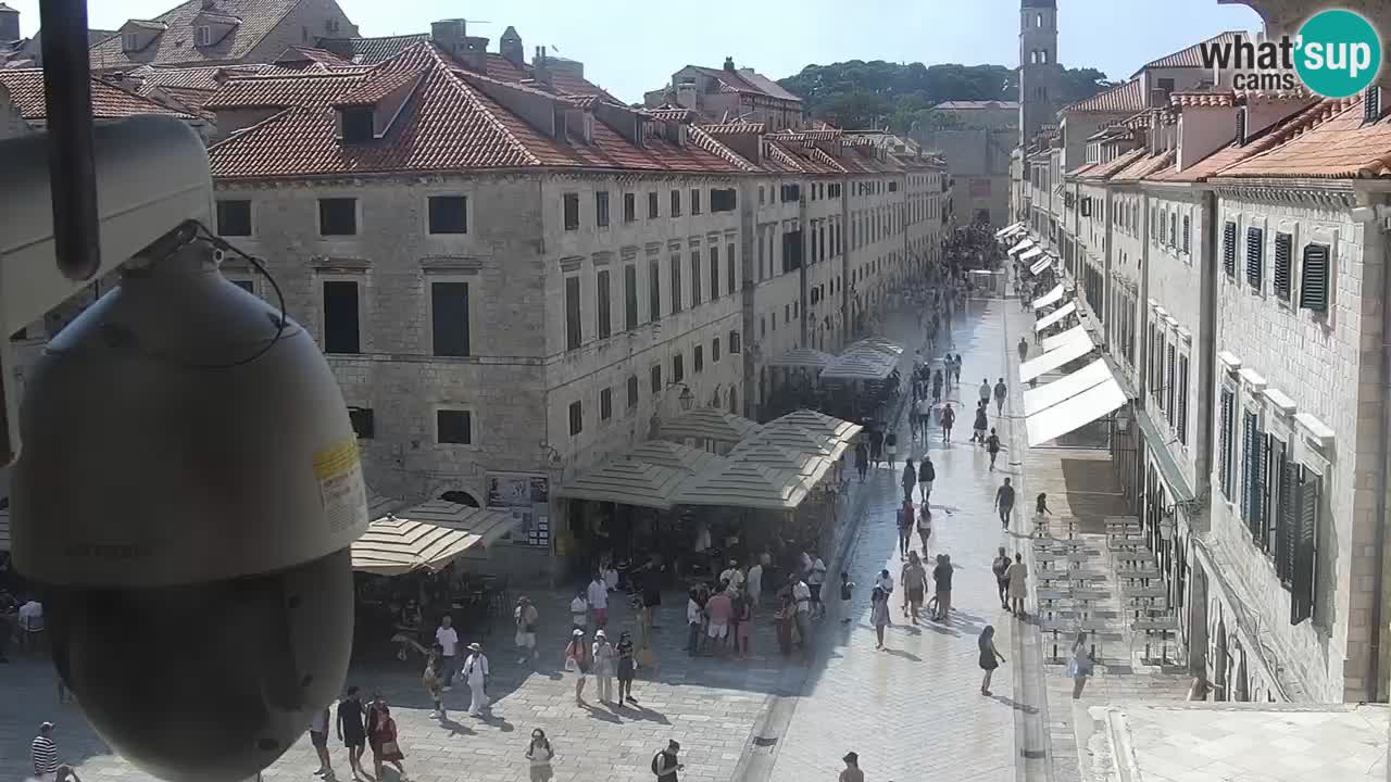 Webcam Ragusa (Dubrovnik) Stradun