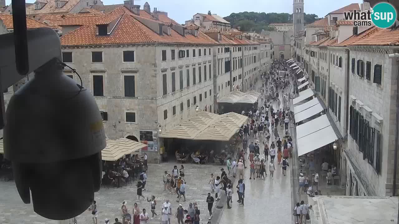 Livecam Dubrovnik Stradun