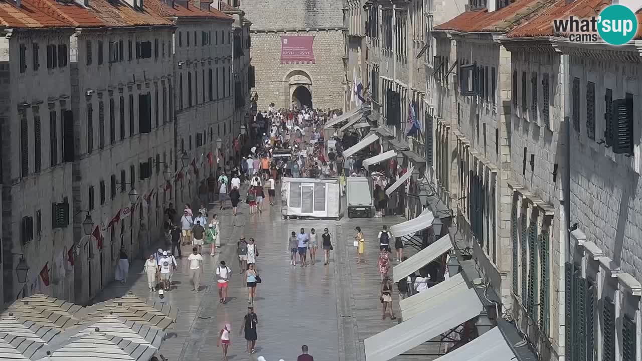 Live Webcam Dubrovnik Stradun