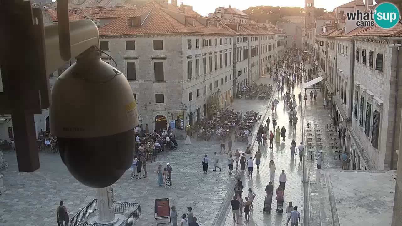 Livecam Dubrovnik Stradun
