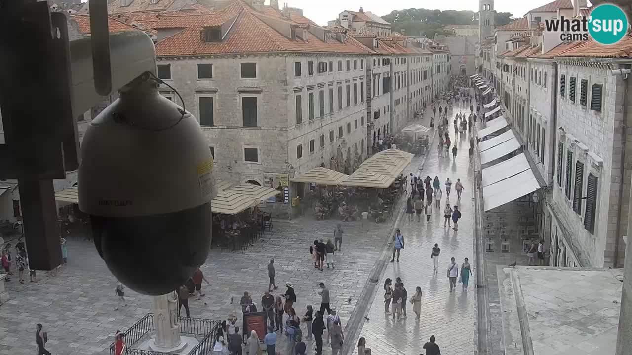 Webcam Ragusa (Dubrovnik) Stradun