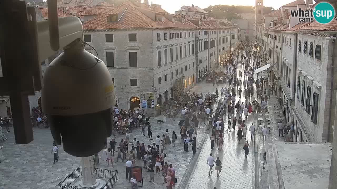 Livecam Dubrovnik Stradun