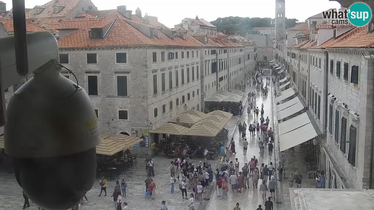 Camera en vivo Dubrovnik Stradun