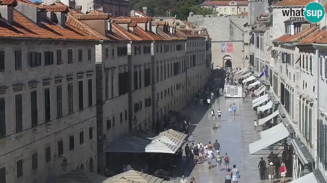 Live Webcam Dubrovnik Stradun