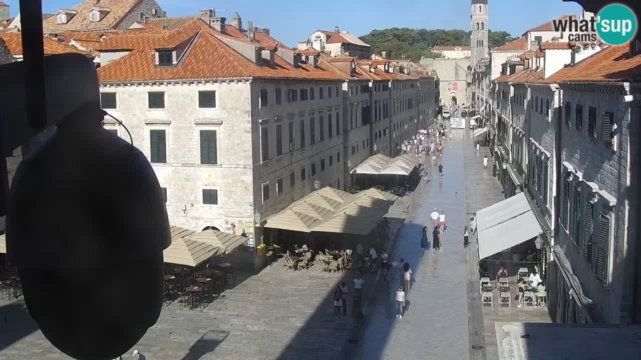 Camera en vivo Dubrovnik Stradun