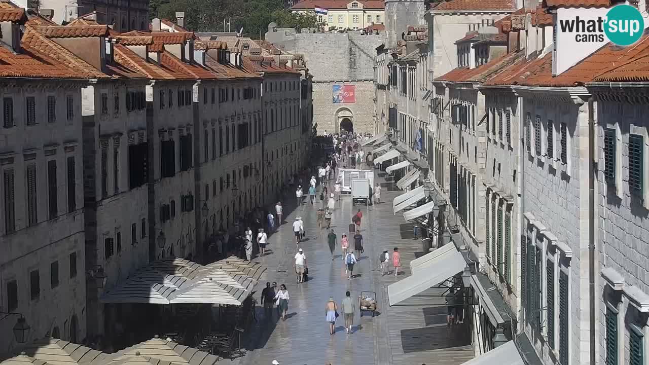 Live Webcam Dubrovnik Stradun