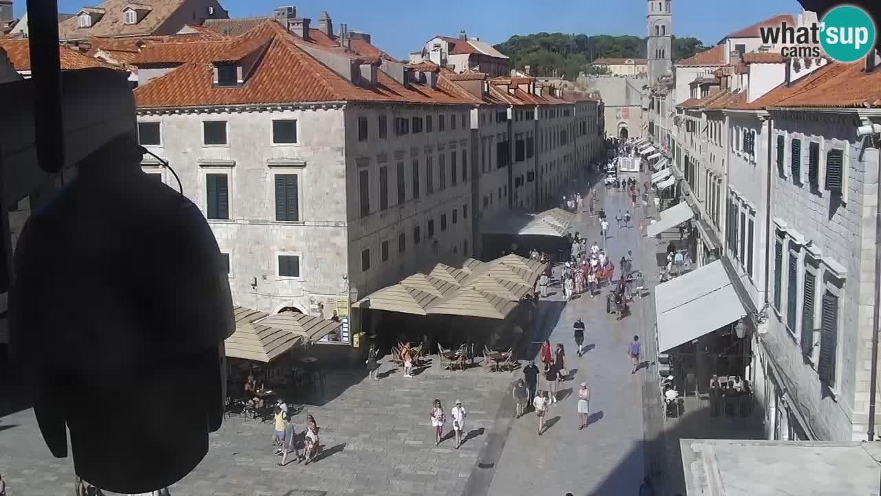 Camera en vivo Dubrovnik Stradun