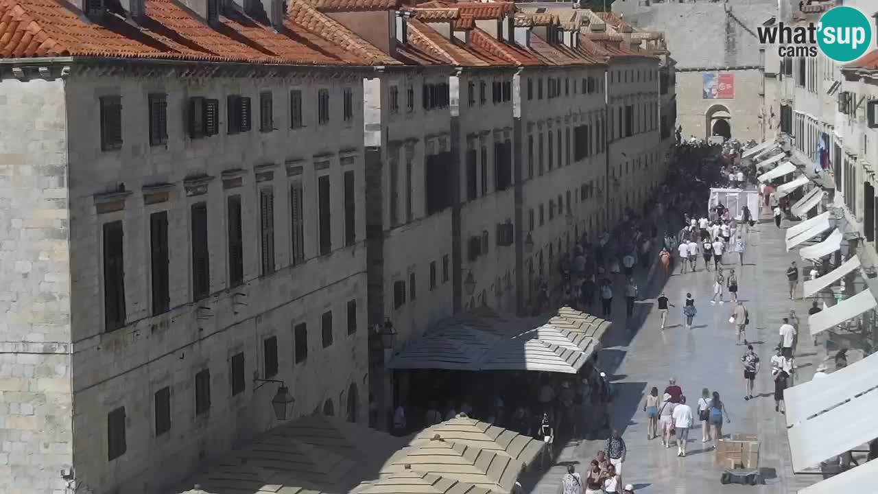Livecam Dubrovnik Stradun