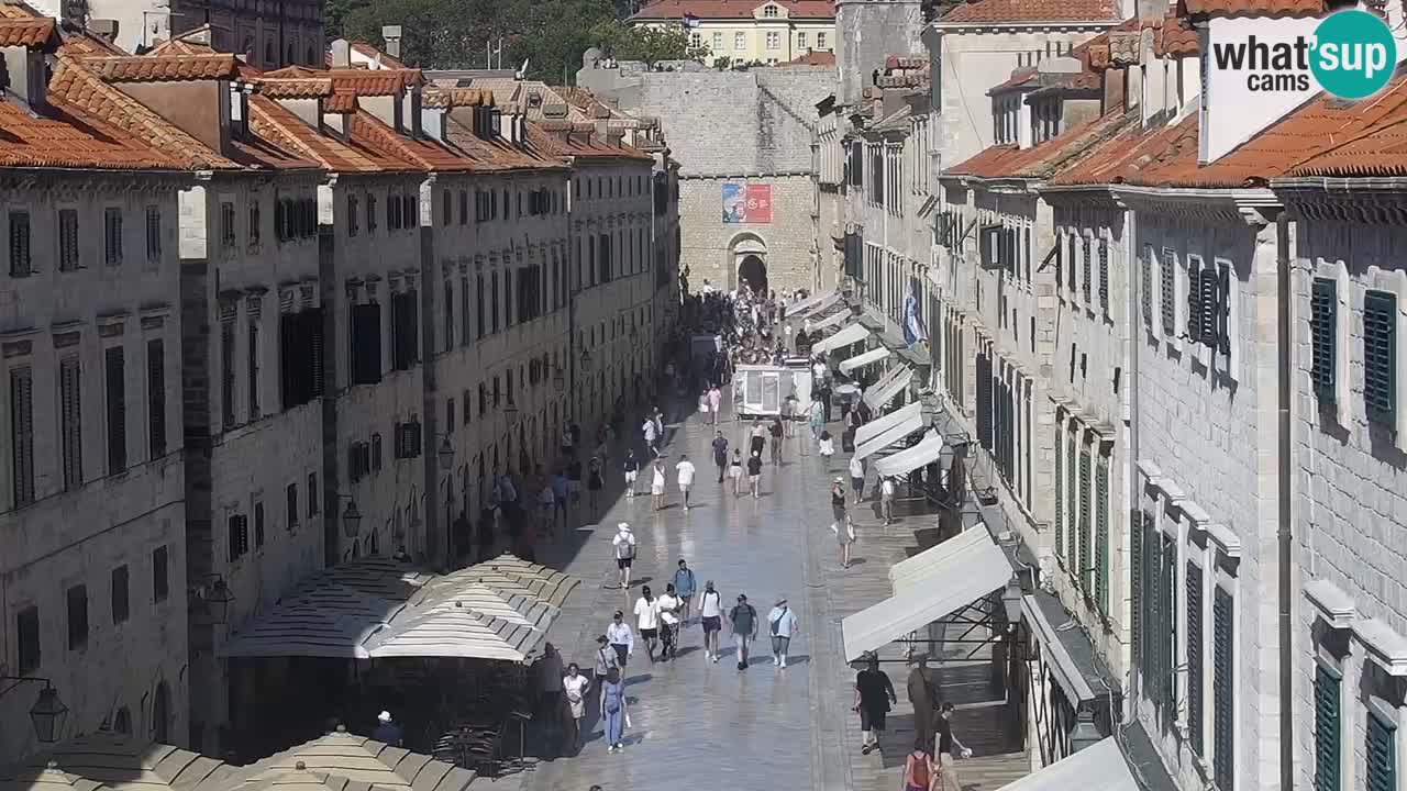 Camera en vivo Dubrovnik Stradun