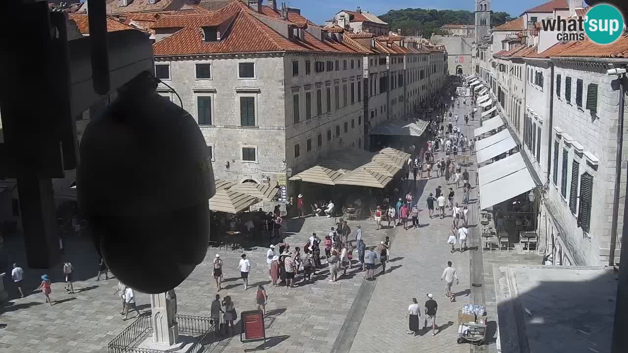 Livecam Dubrovnik Stradun