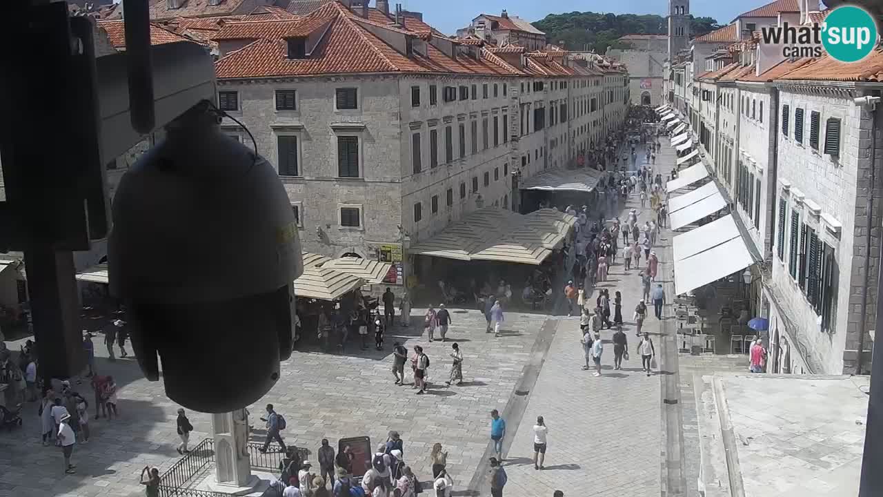 Livecam Dubrovnik Stradun