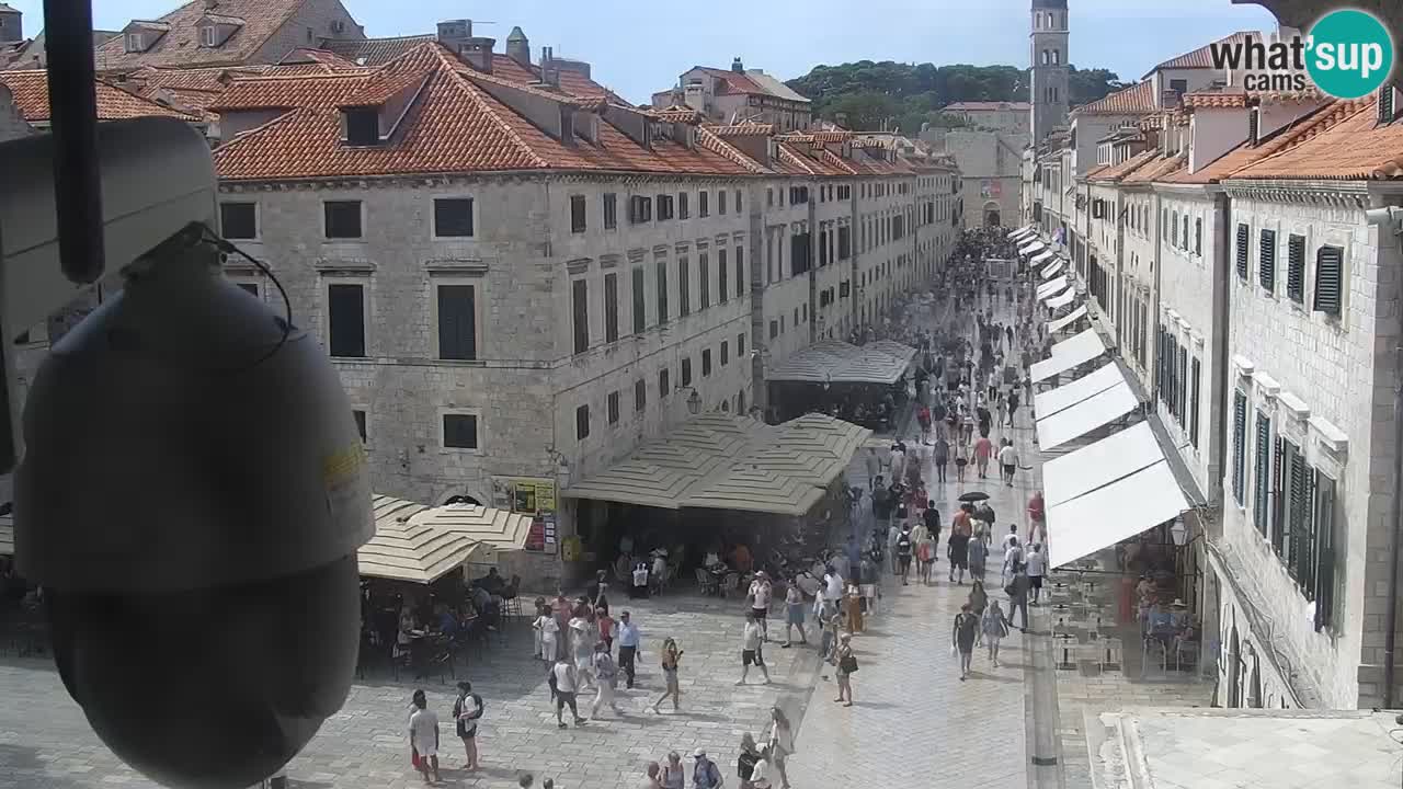 Kamera v živo Dubrovnik Stradun / Placa