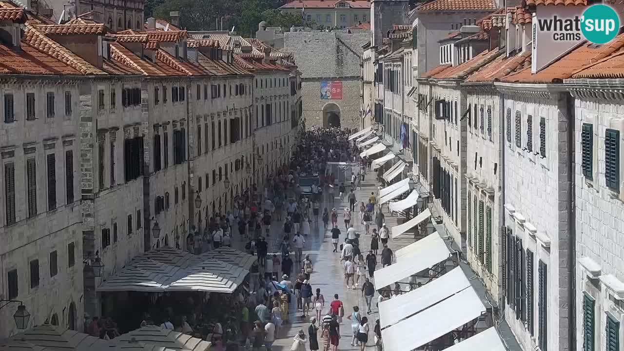 Camera en vivo Dubrovnik Stradun