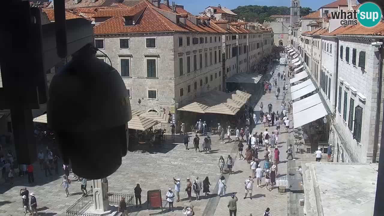 Live Webcam Dubrovnik Stradun
