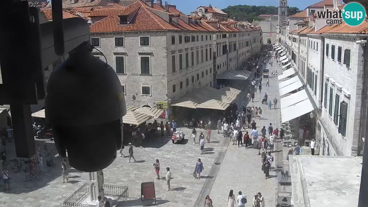 Kamera uživo Dubrovnik – Placa / Štradun