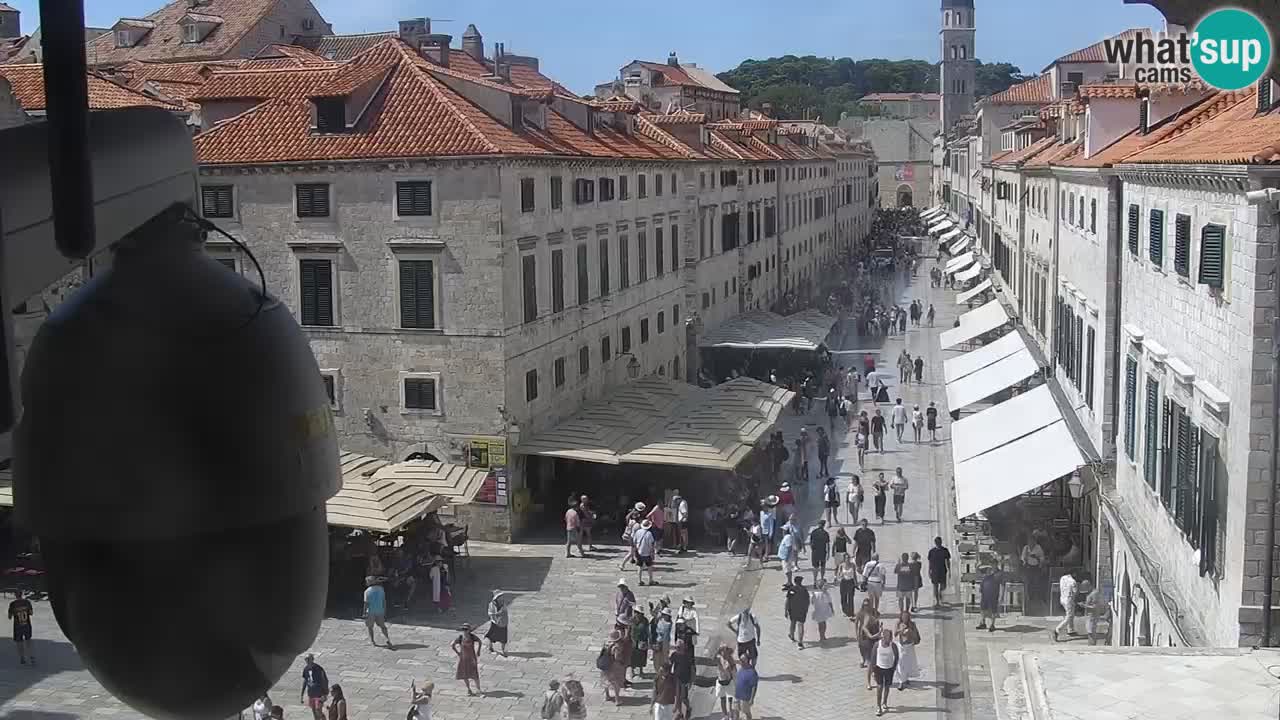 Live Webcam Dubrovnik Stradun