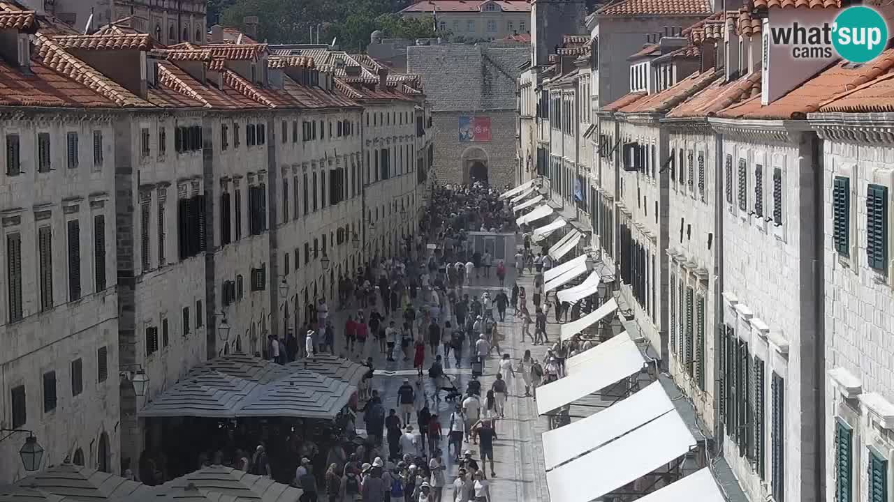 Kamera uživo Dubrovnik – Placa / Štradun