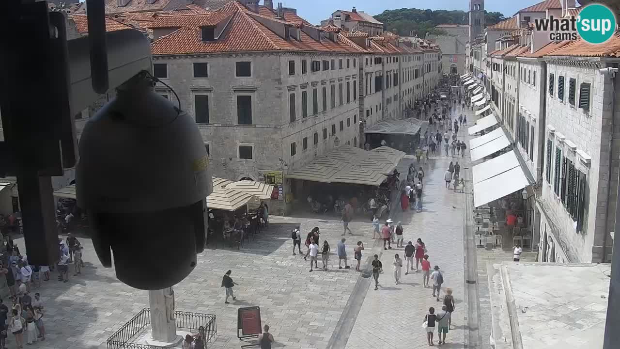 Kamera uživo Dubrovnik – Placa / Štradun