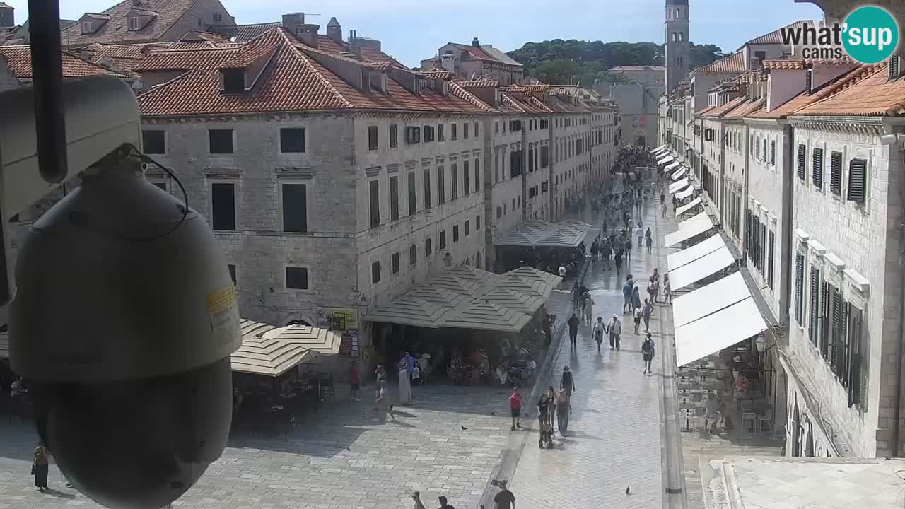 Live Webcam Dubrovnik Stradun