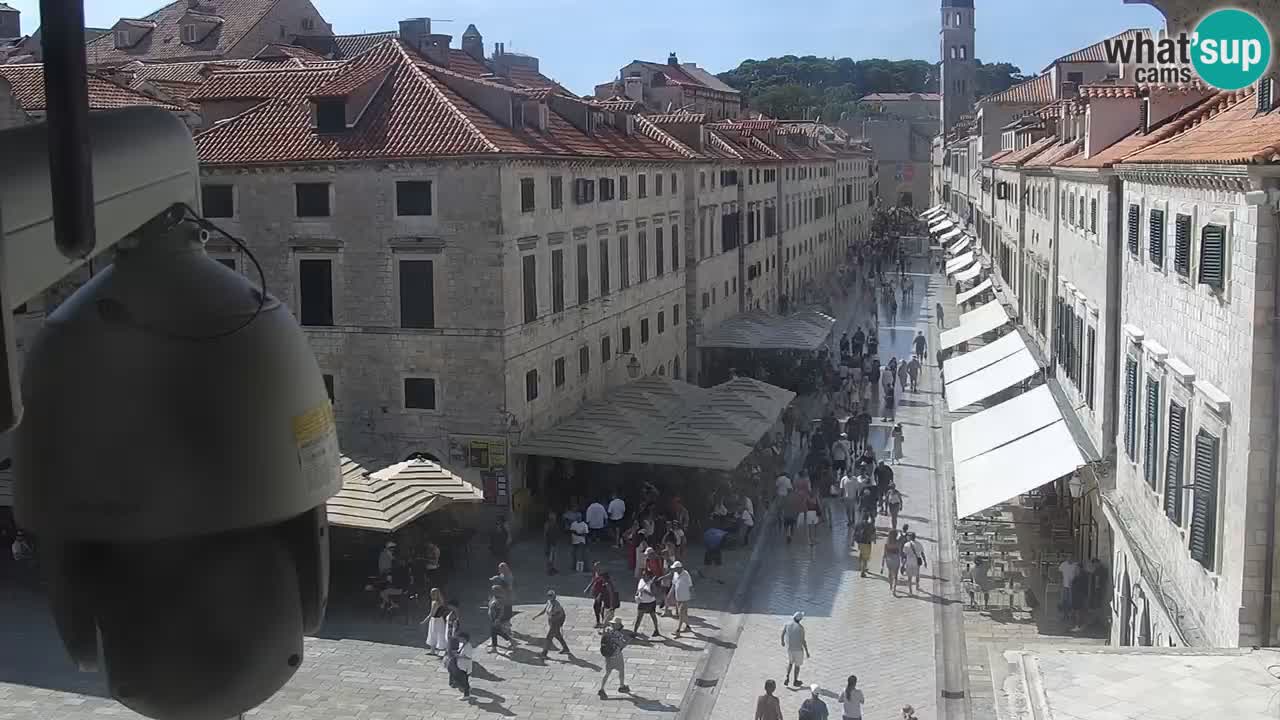 Kamera v živo Dubrovnik Stradun / Placa